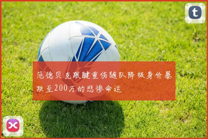 范德贝克跟腱重伤随队降级身价暴跌至200万的悲惨命运